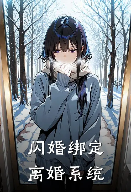 闪婚绑定离婚系统